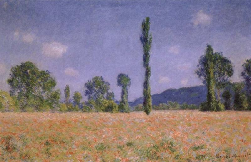 Claude Monet Poppy Field